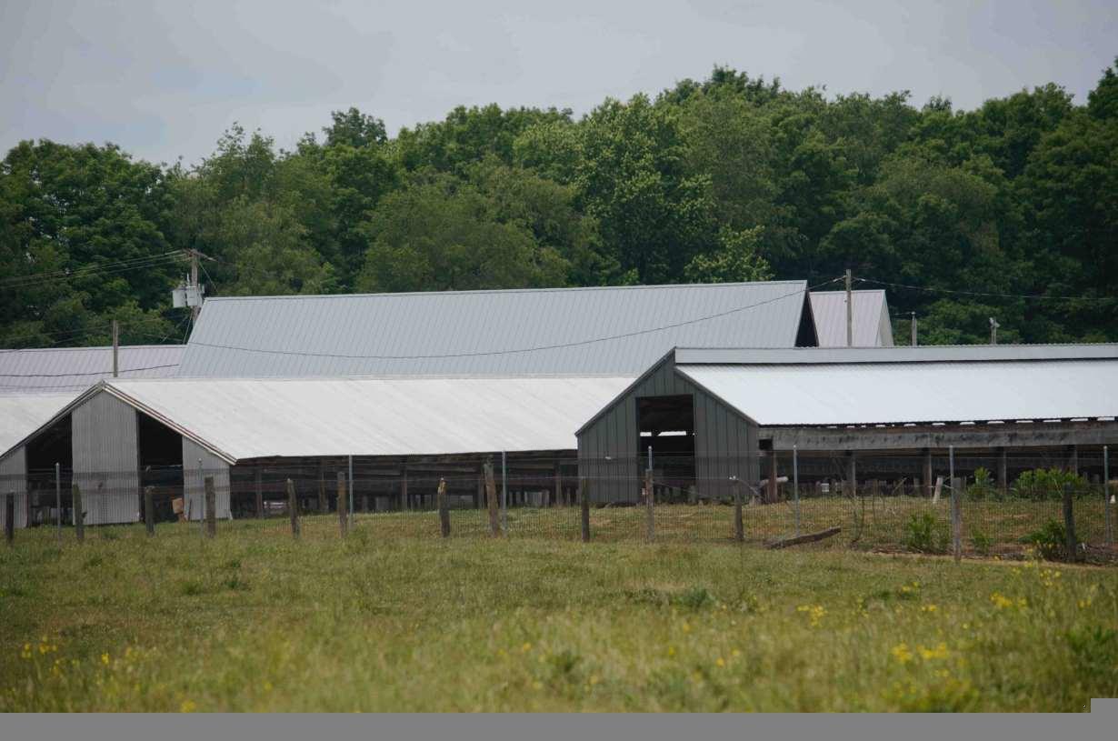 Exterior view of the large buildings of a fur farm.